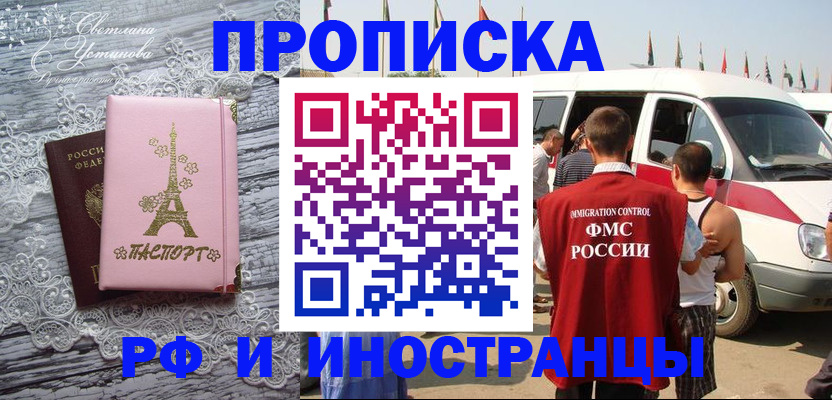 прописка поиск в Новозыбкове